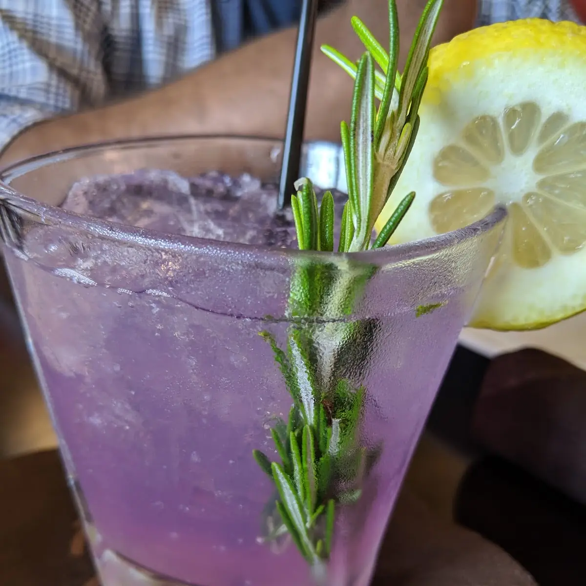 Rosemary Gin Fizz