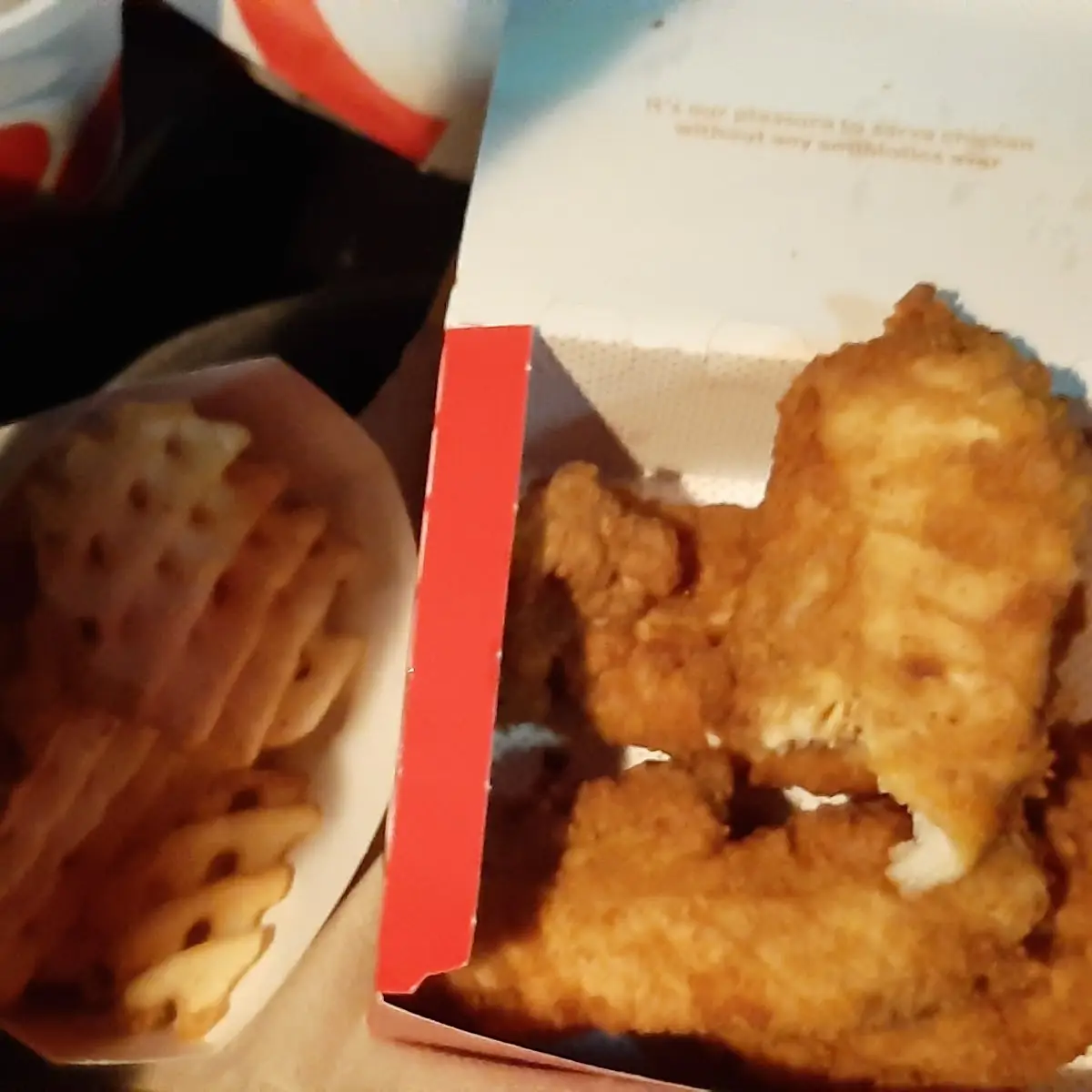 Chicken Strips