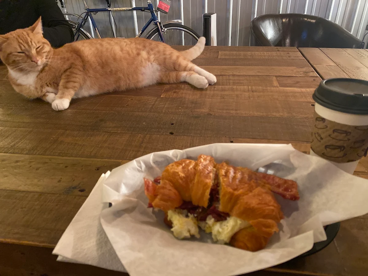 Butter Croissant