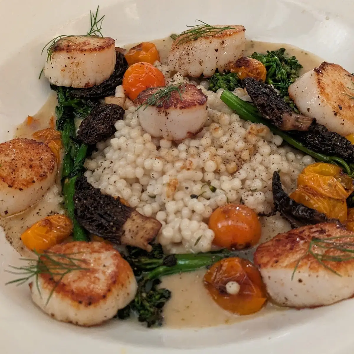 Diver Sea Scallops