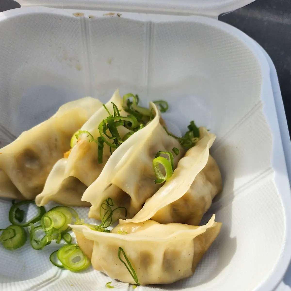 Veggie Gyoza