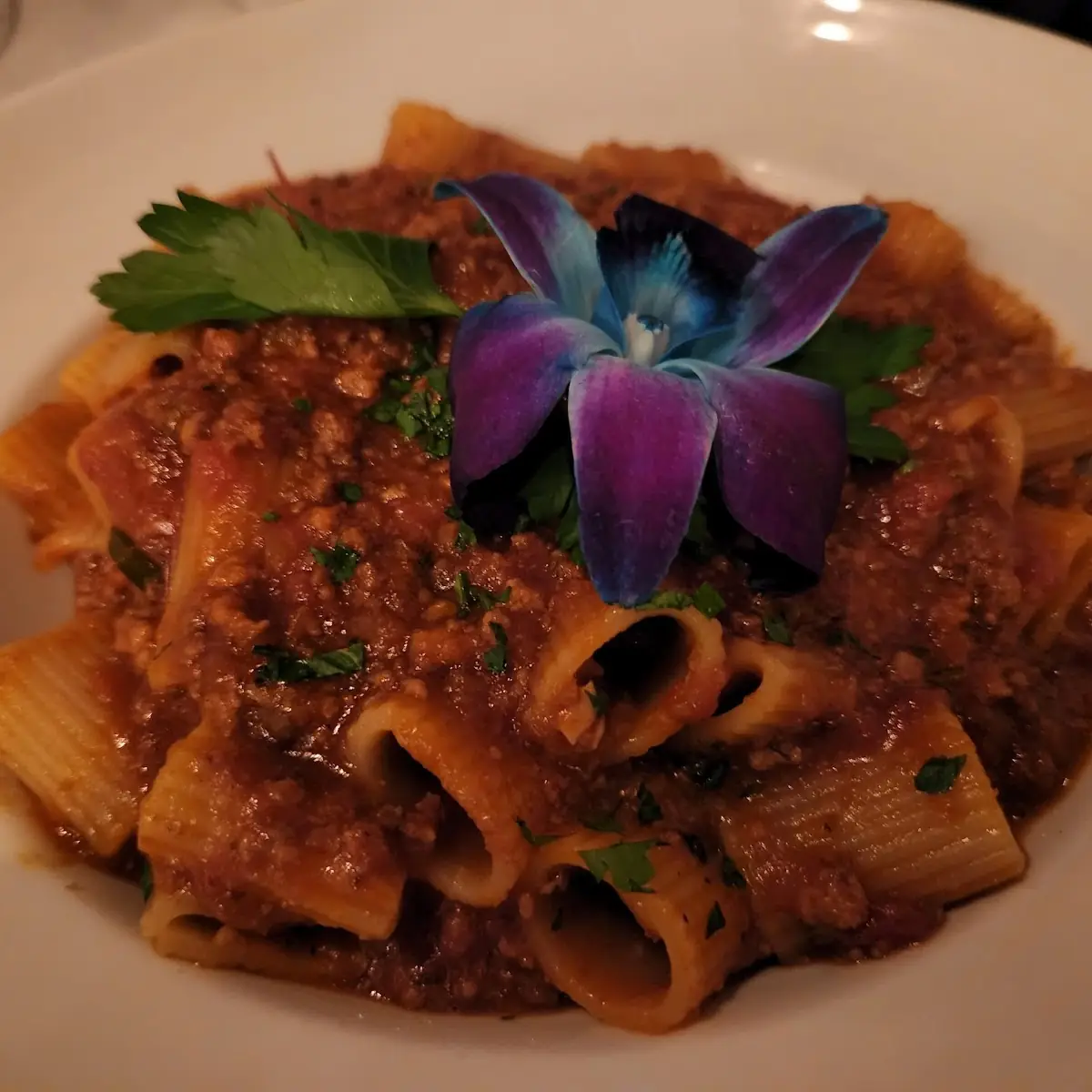 Bolognese Pasta
