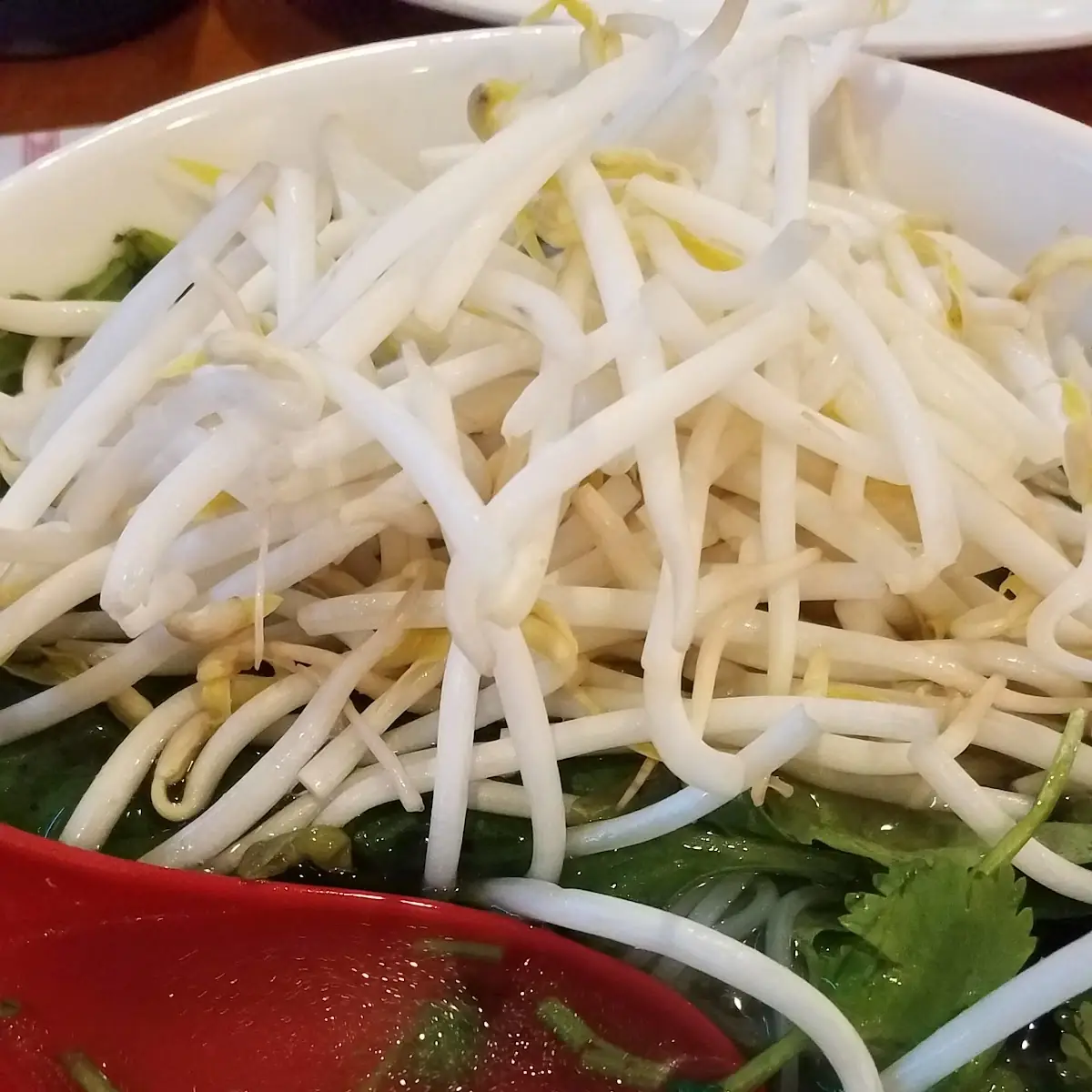 Pho Broth