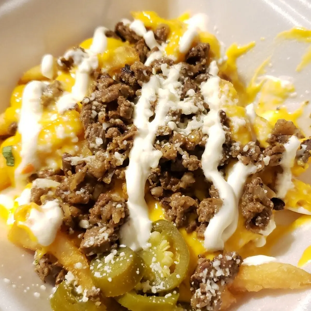 Carne Asada Fries