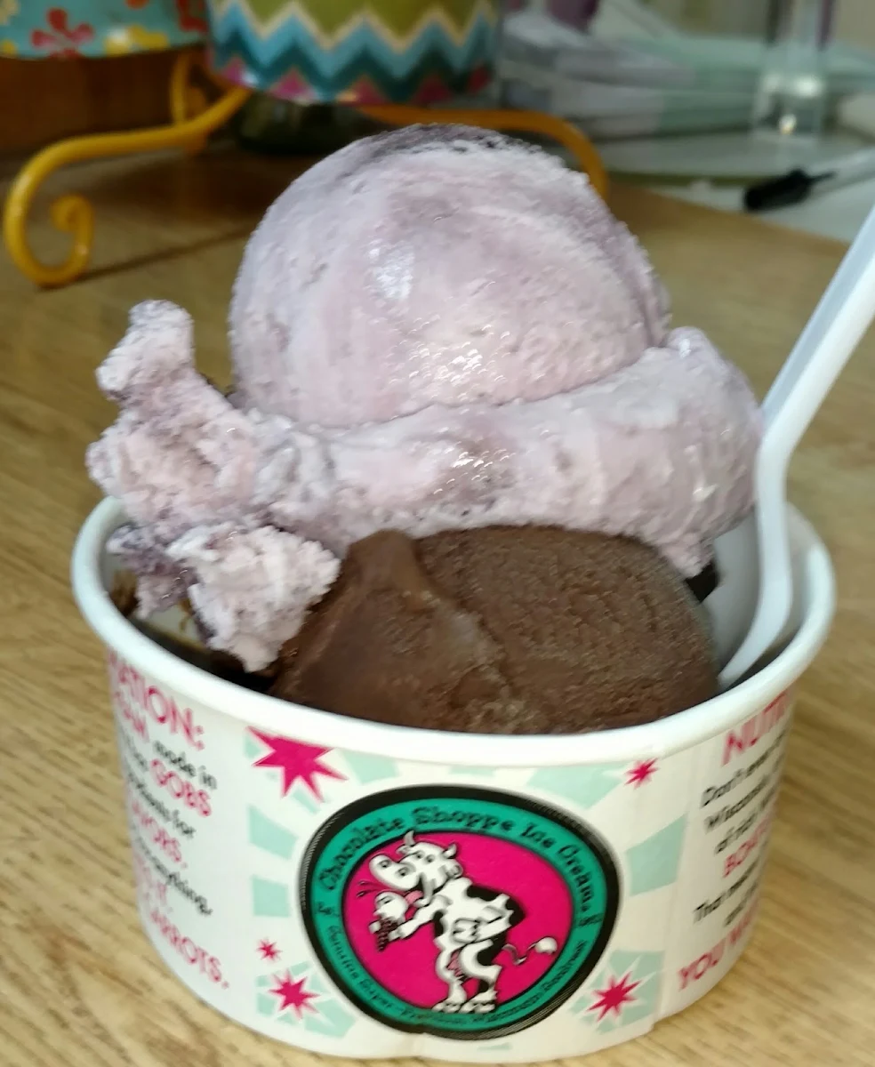 Strawberry and Chocolate Ice Cream