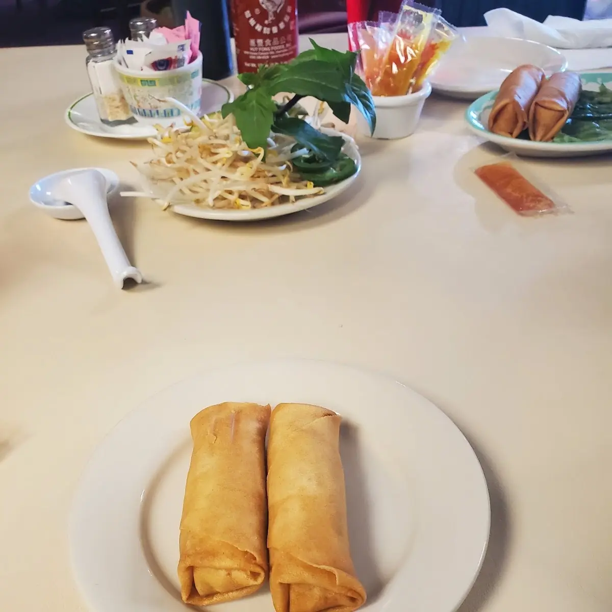 Fried Spring Rolls