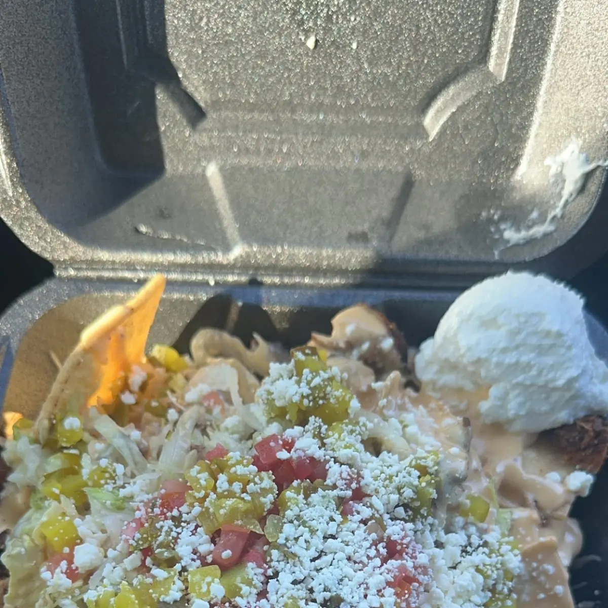 Carne Asada Fries
