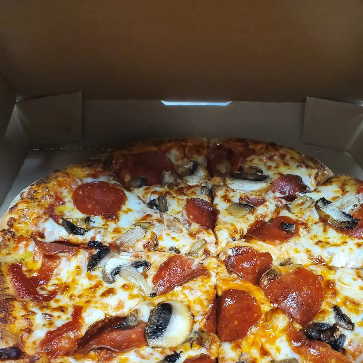 Large Hand Tossed Pepperoni and Mushroom Pizza