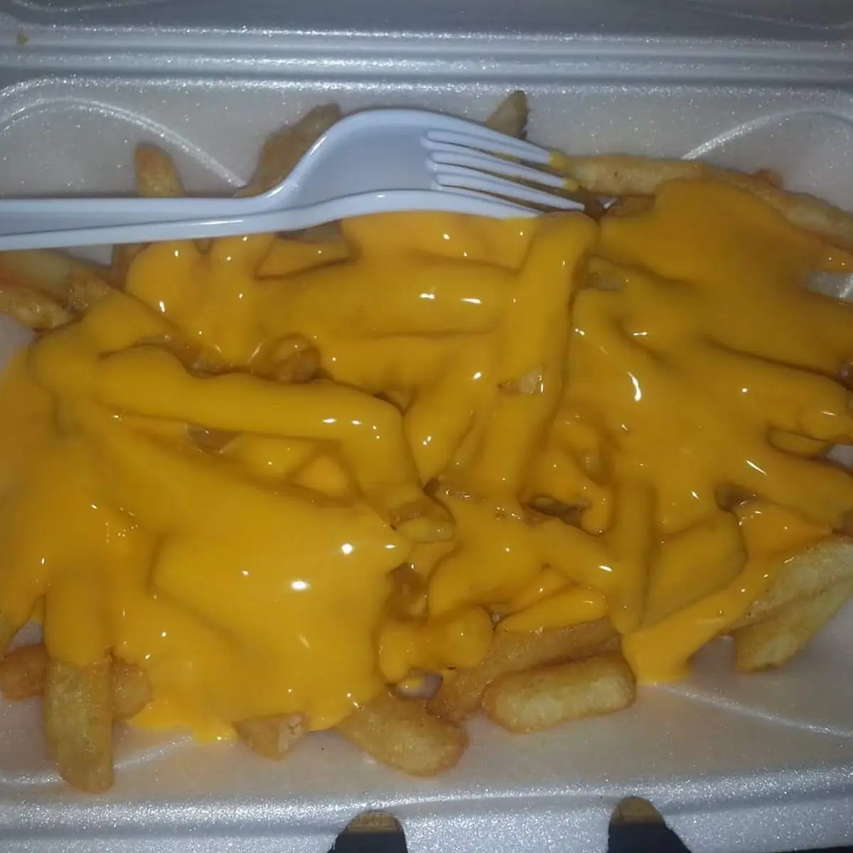 Cheese Fries