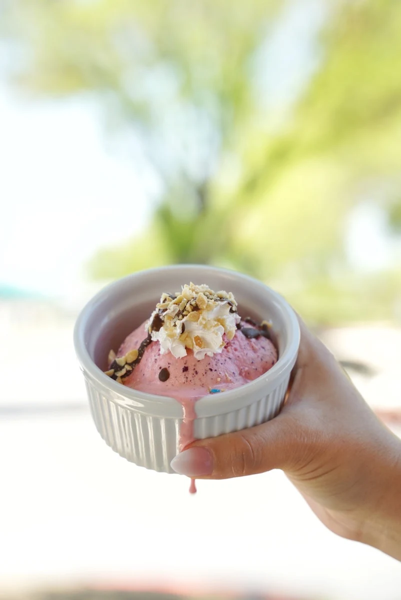 Frozen Yogurt
