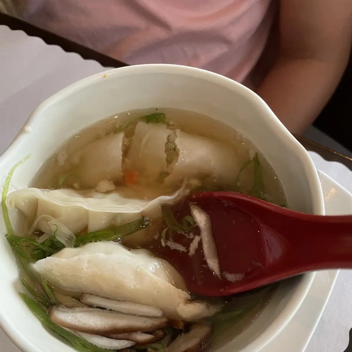 Dumpling Soup