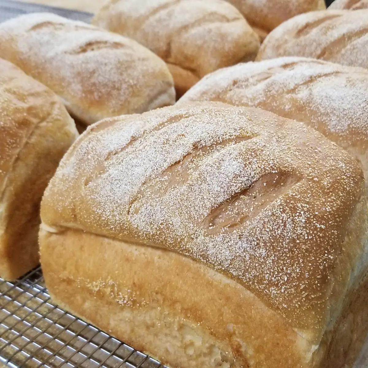 Sourdough Bread