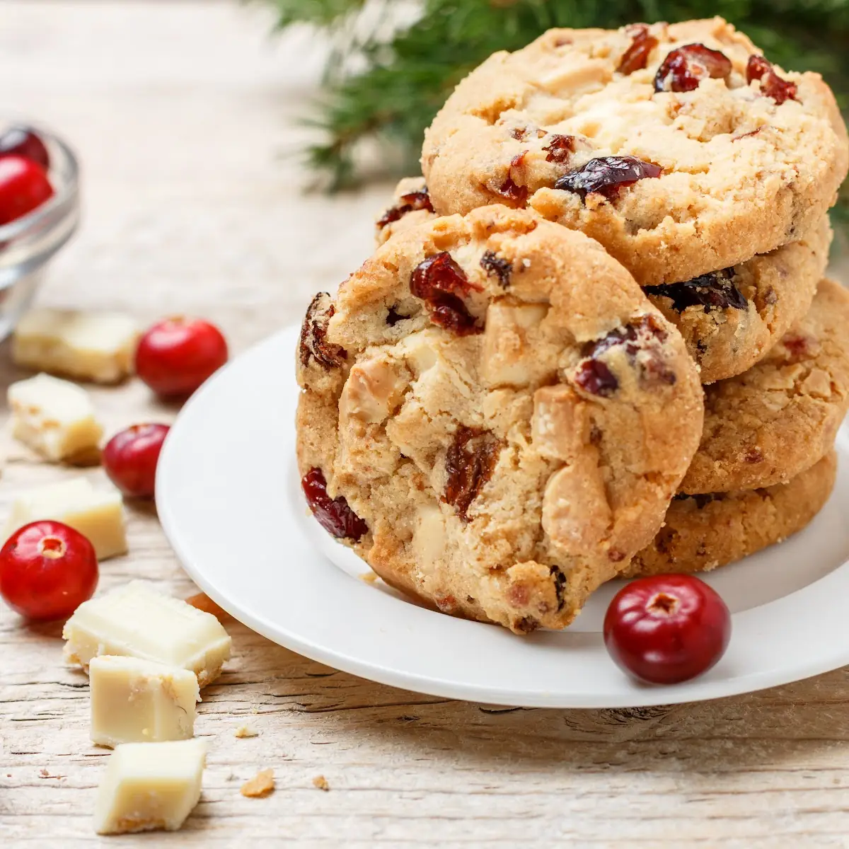 White Chocolate Chip & Cranberry