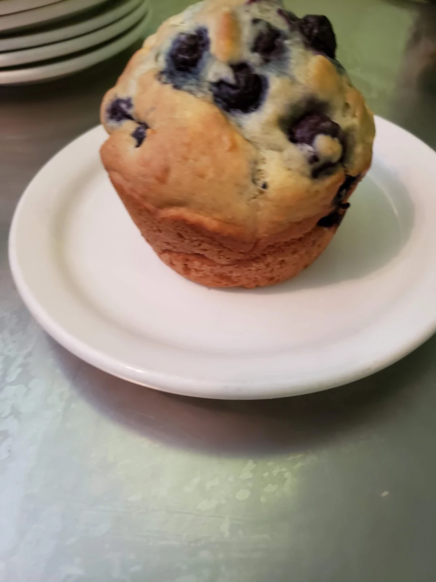 Blueberry Muffin