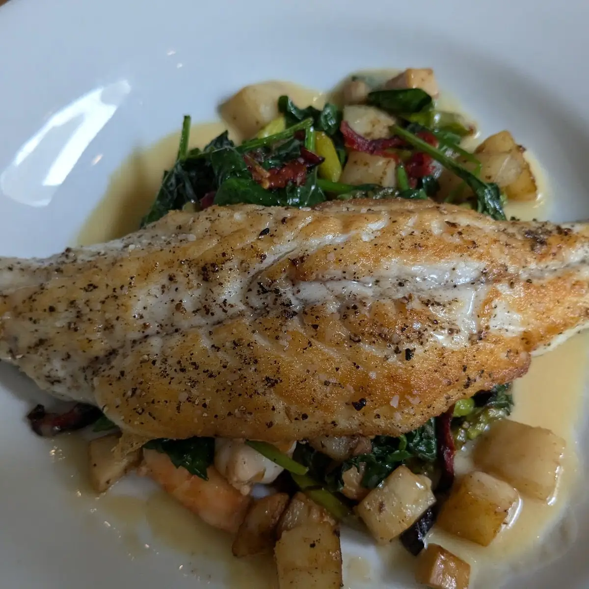 Sea Bass
