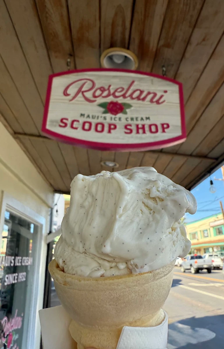 Vanilla Bean Ice Cream