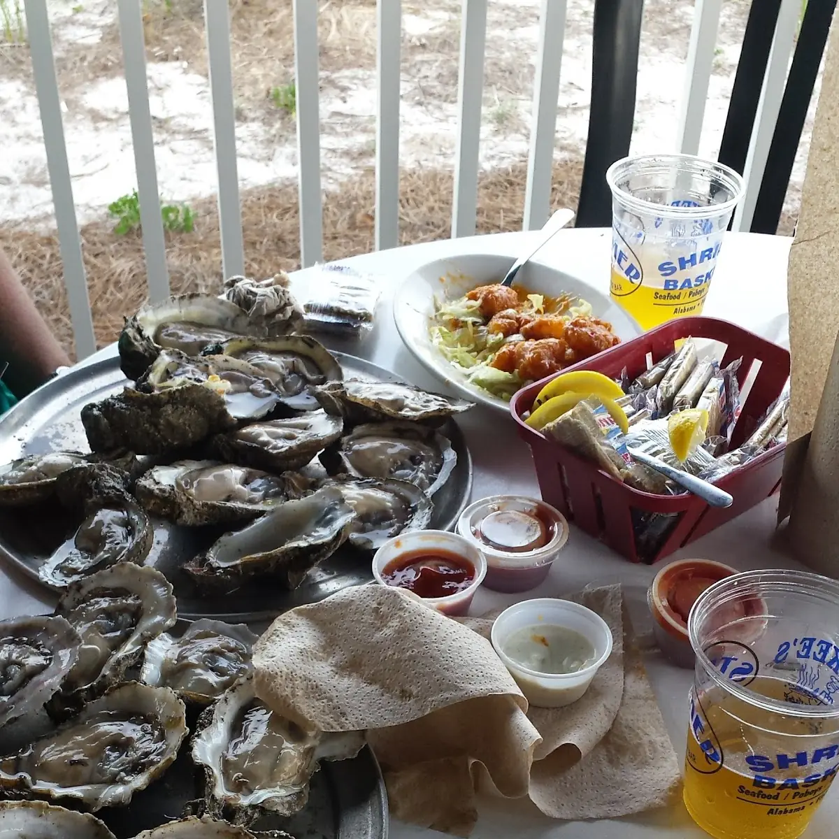 Raw Gulf Oysters on the Half Shell