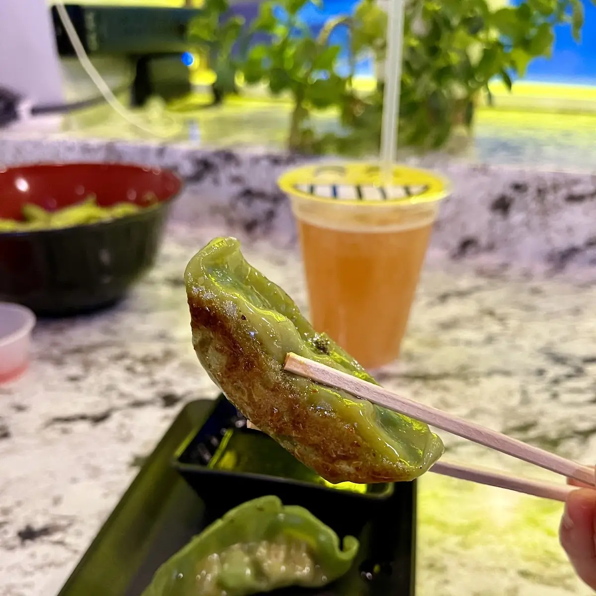 Vegan Gyoza