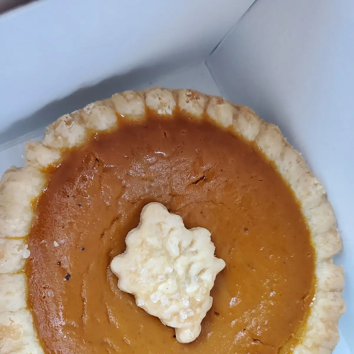 8 Pumpkin Pie