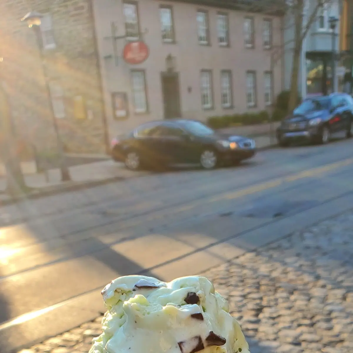 Mint Chocolate Chip Ice Cream