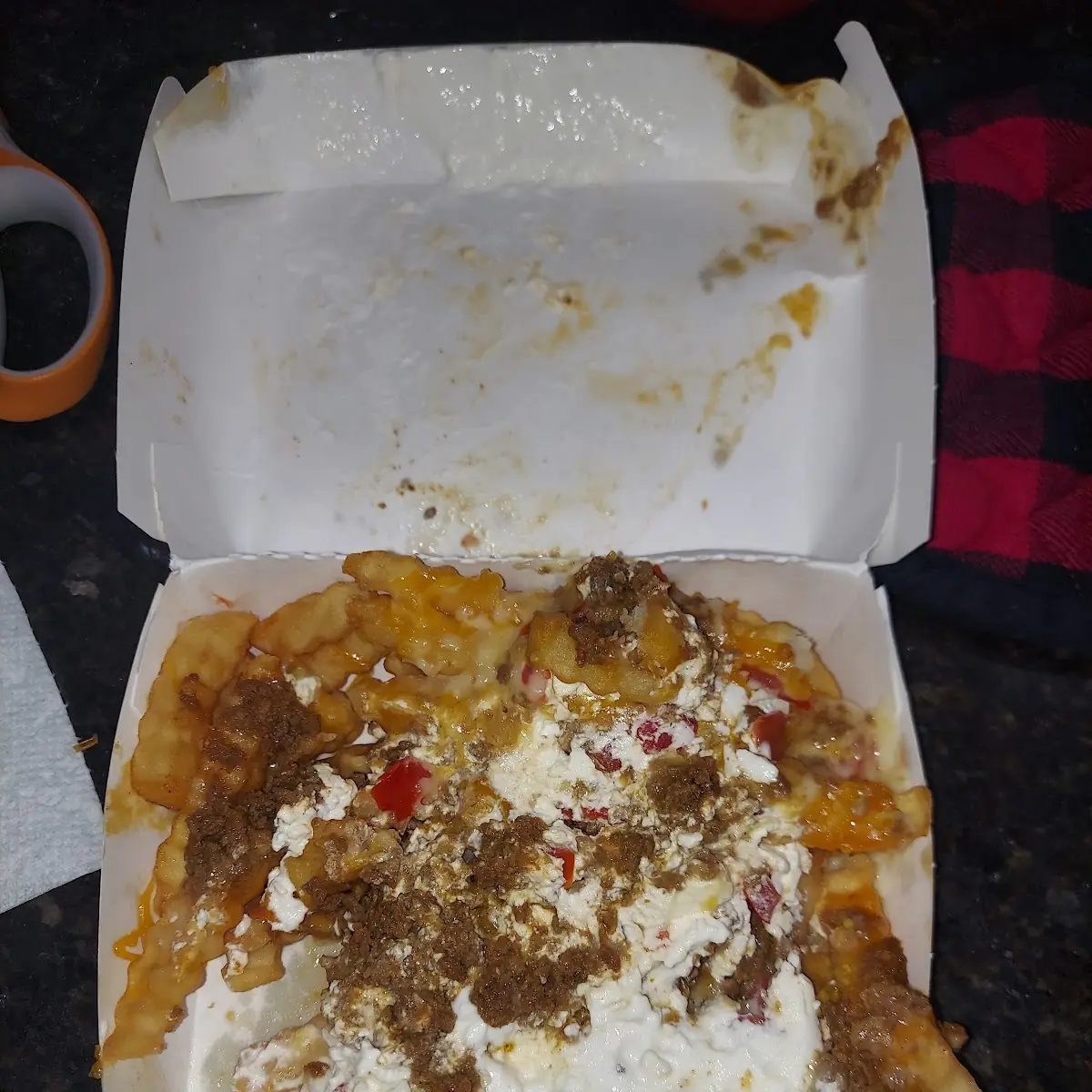 Carne Asada Fries
