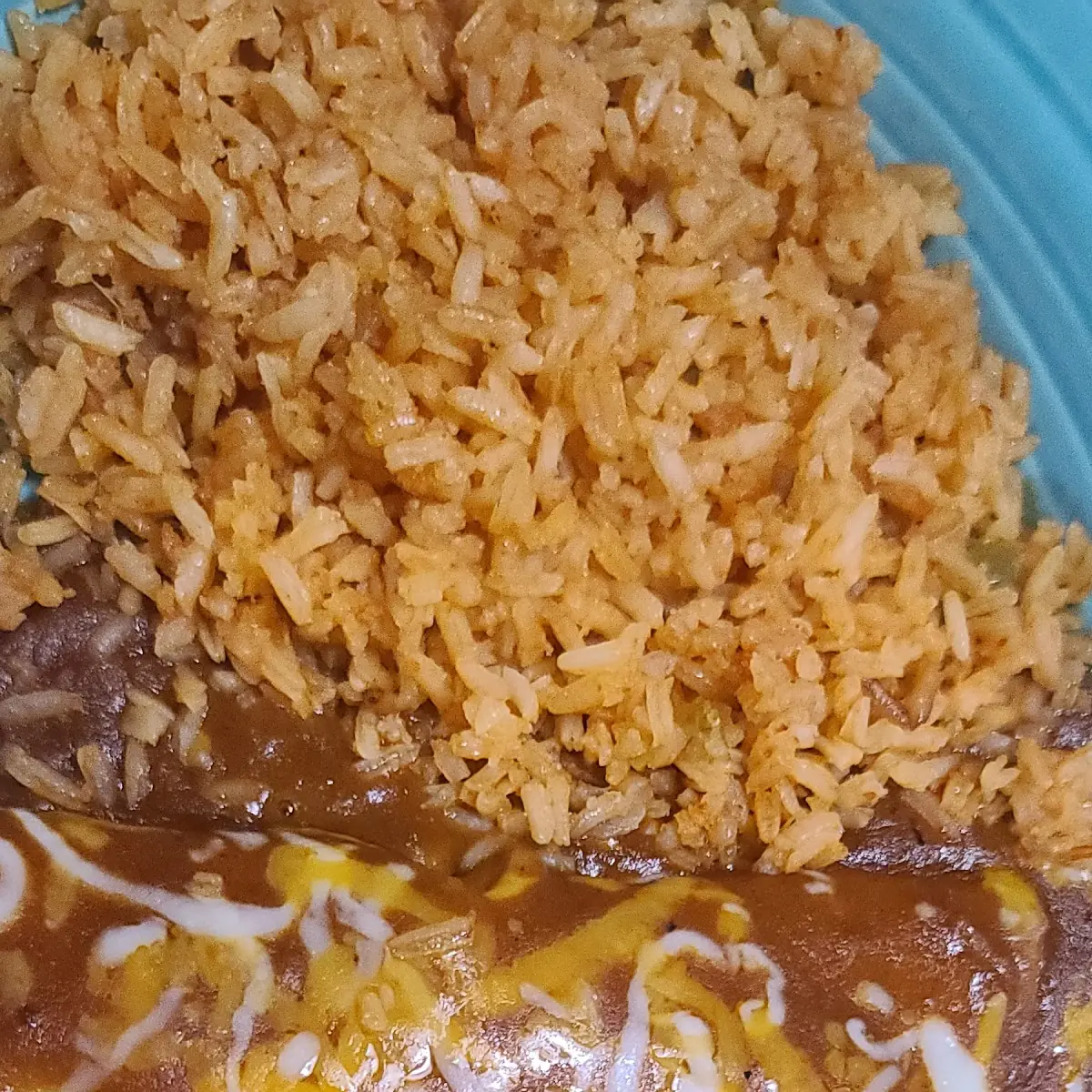 Chicken Enchilada