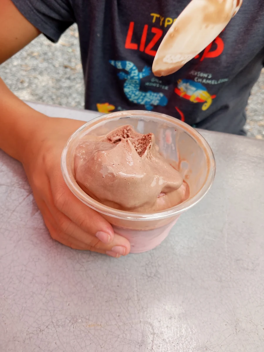Chocolate Ice Cream