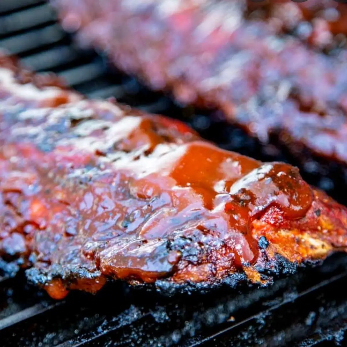 Baby Back Pork Ribs