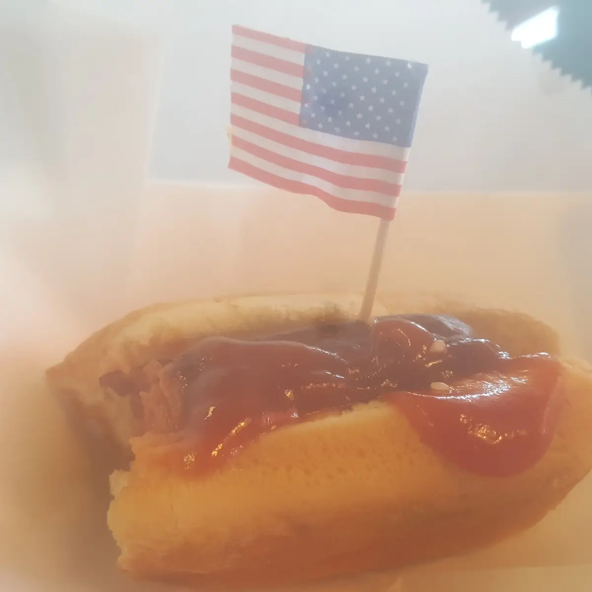 Hot Dog