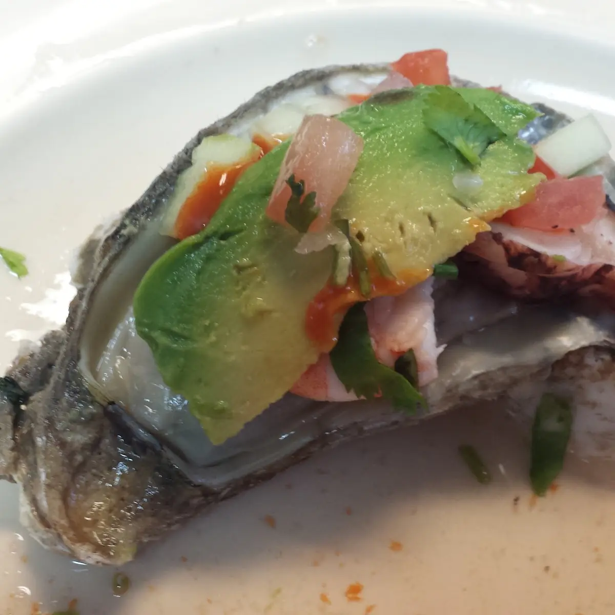 Oysters on the Half Shell