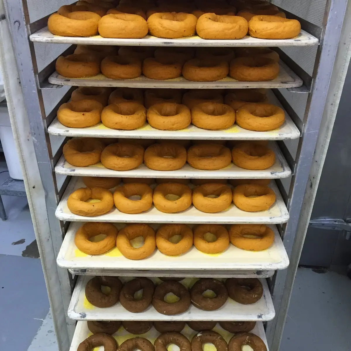 Doughnut