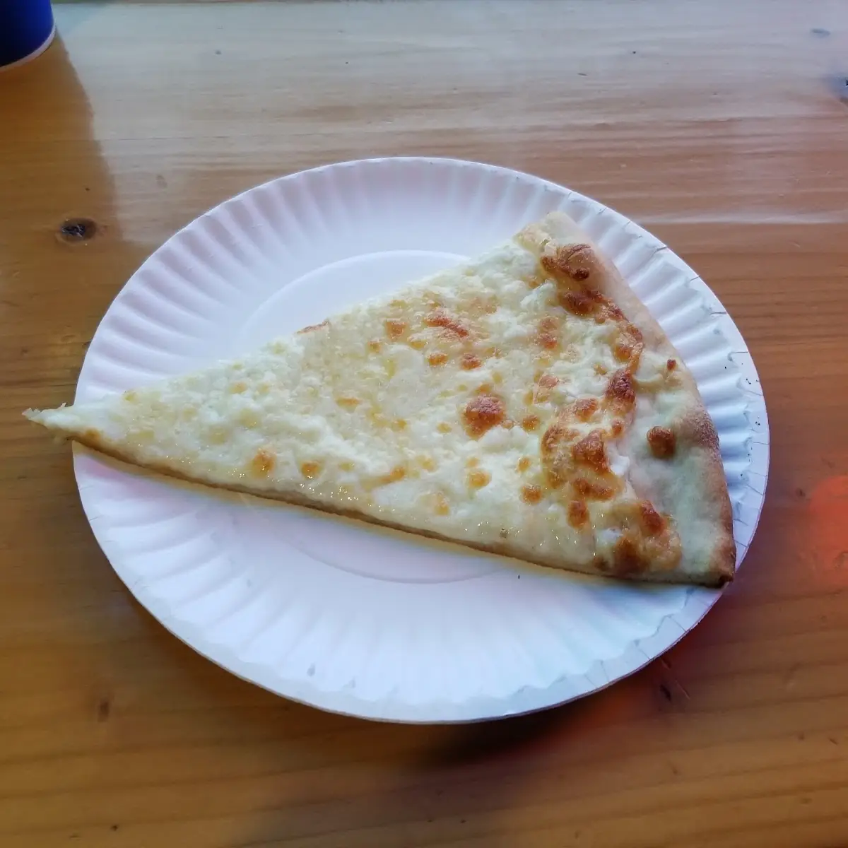 5 Cheese Pizza Slice