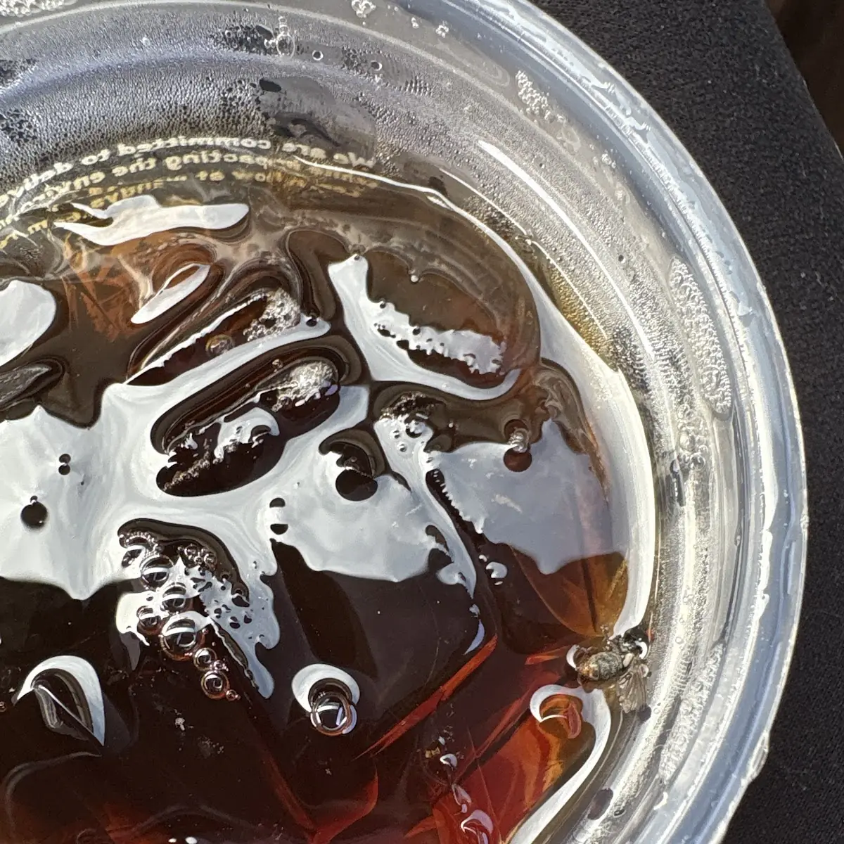 Cold Brew Iced Coffee