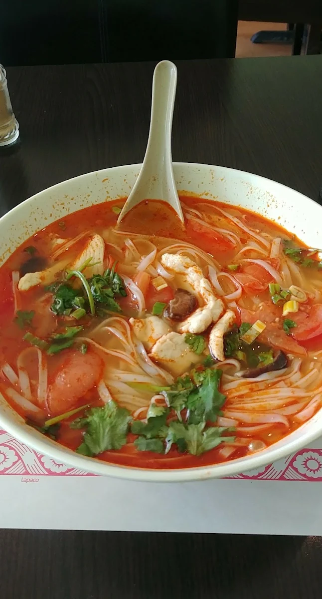 Tom Yum Chicken Soup, Soupe Et Noodle