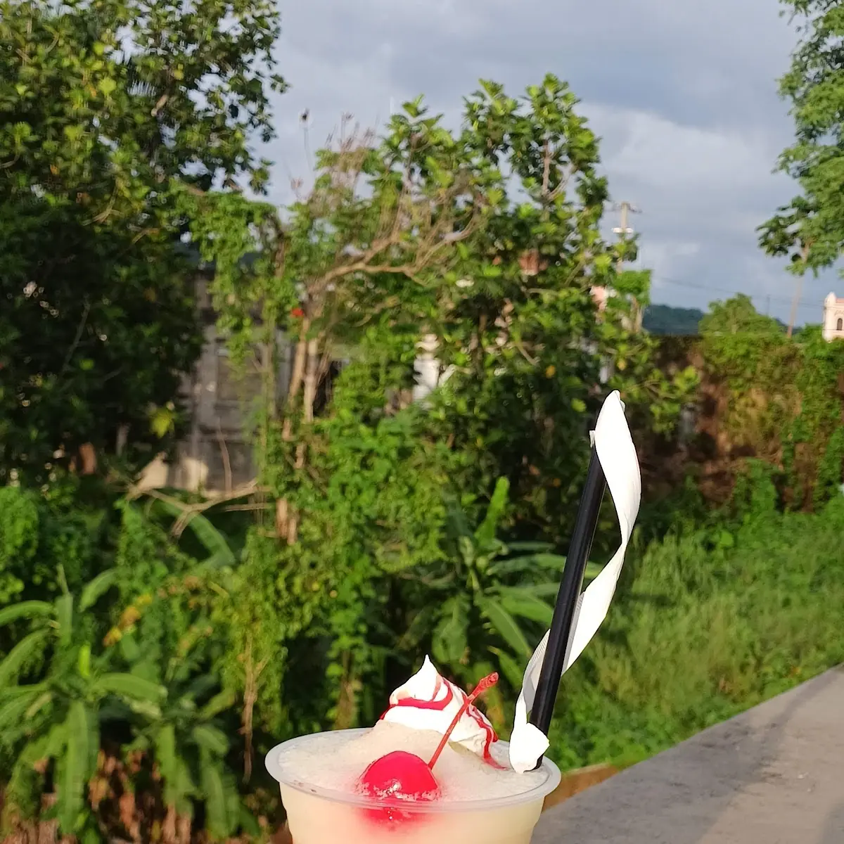 Virginia Piña Colada