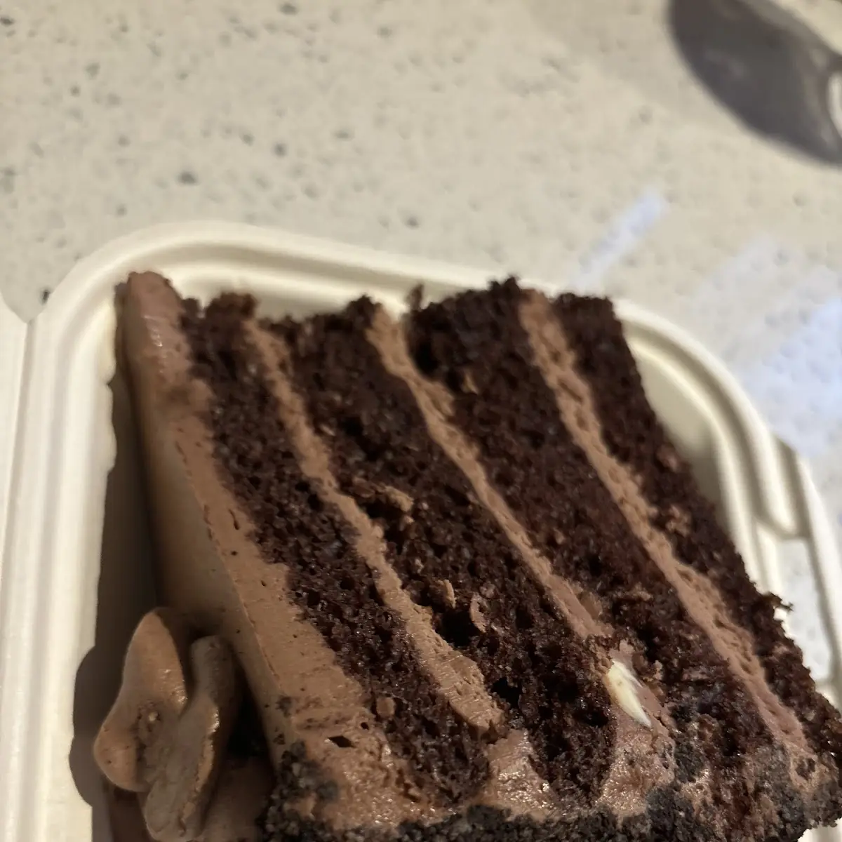Wicked Chocolate Cake