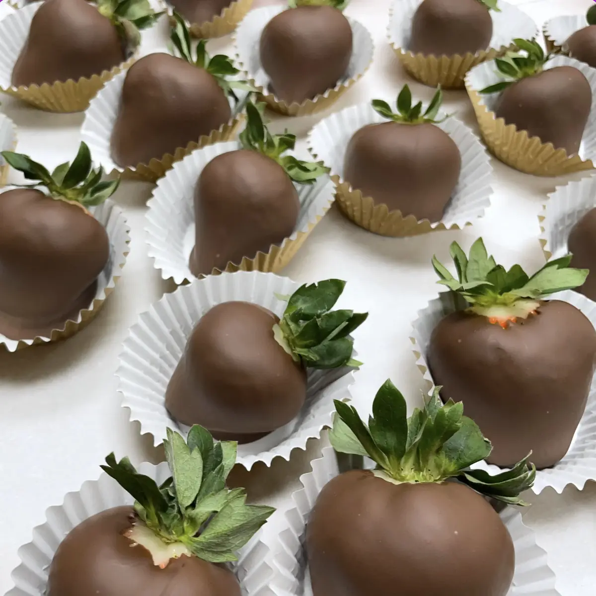 Chocolate Covered Strawberries Half Dozen