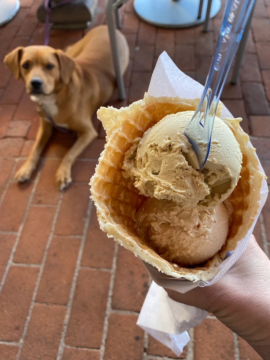 Waffle Cone