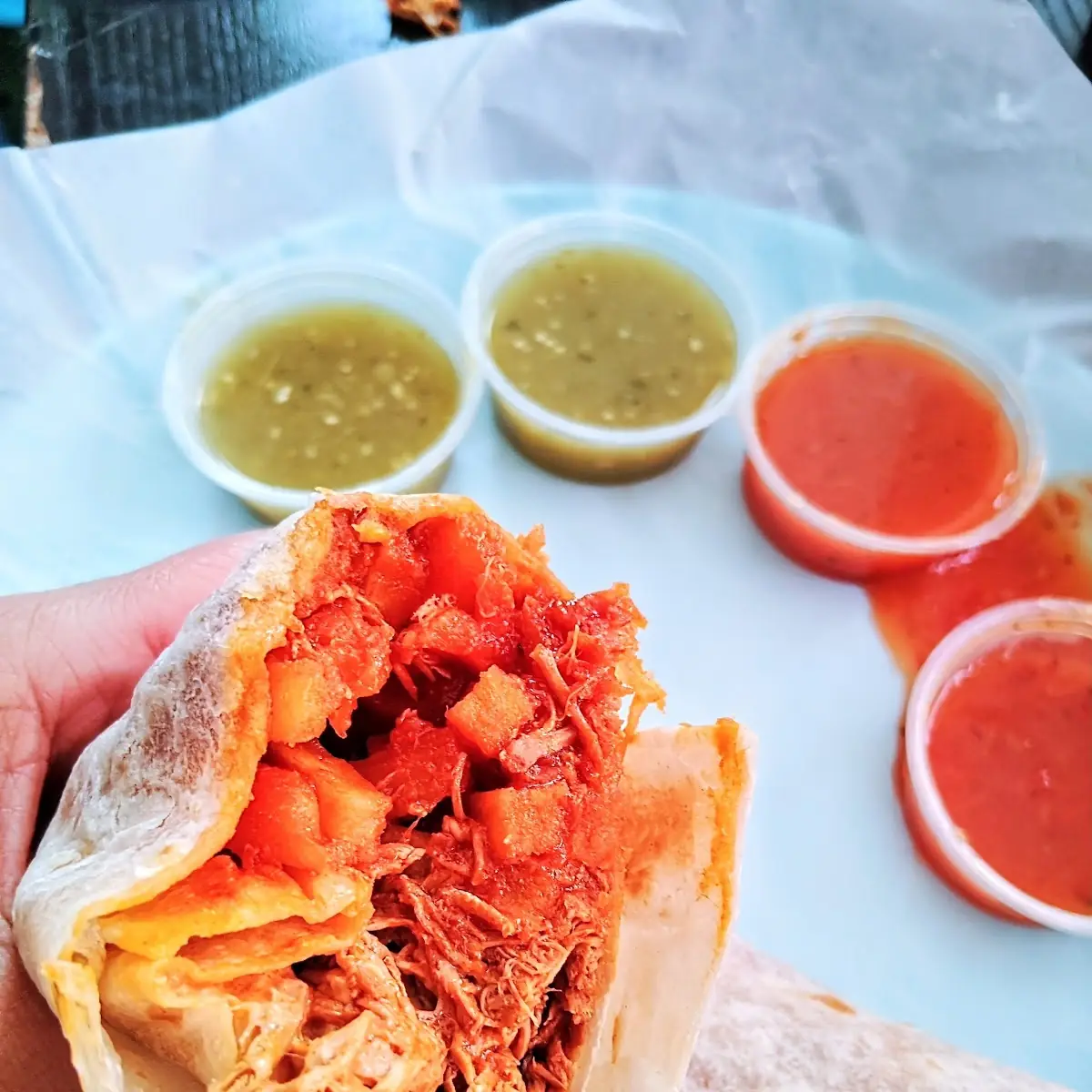 Green Pork Burrito