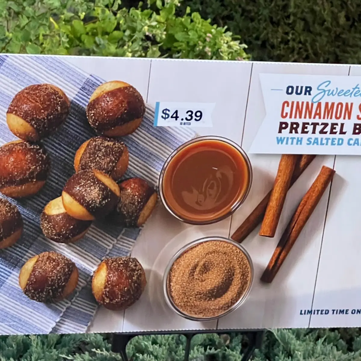 Cinnamon Sugar Pretzel Bites