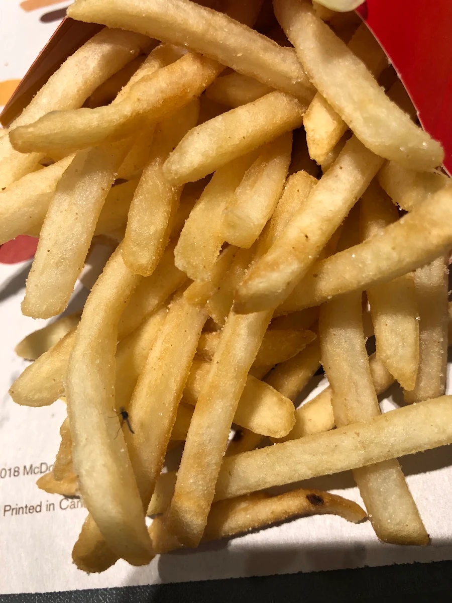 World Famous Fries – Small