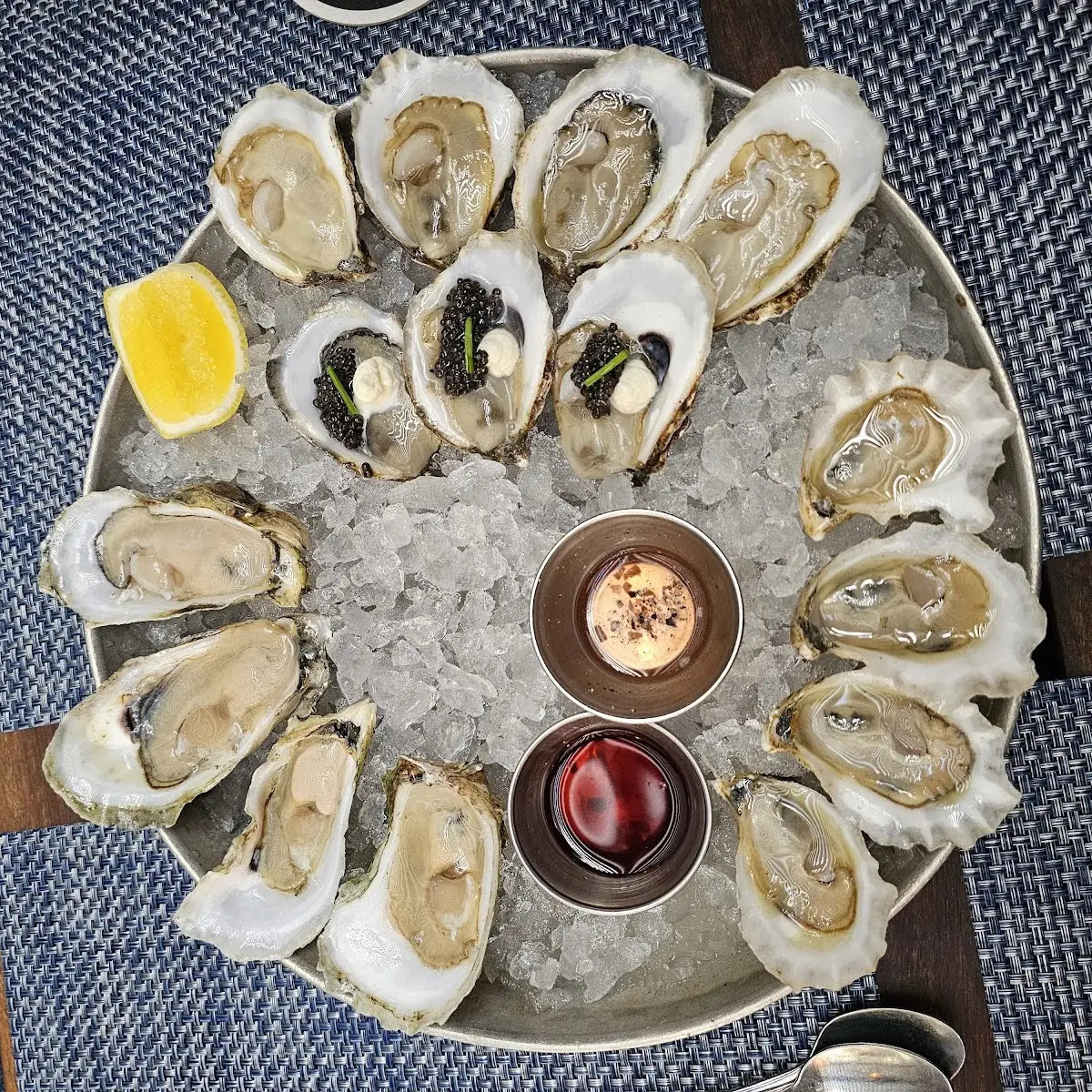 Oysters on the Half Shell and Shrimp