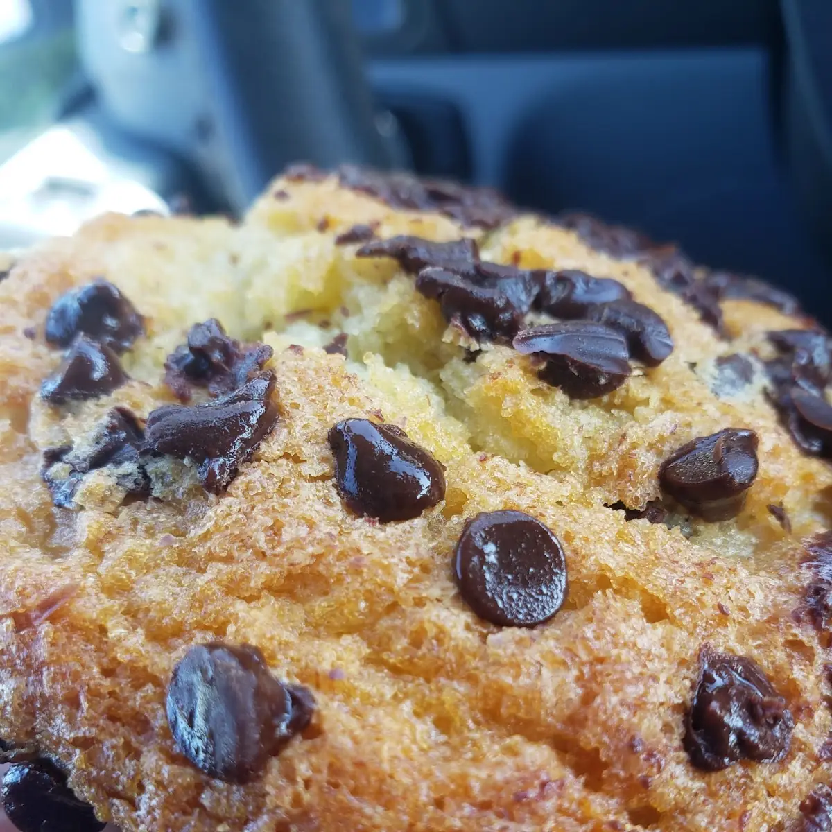 Blueberry Muffin