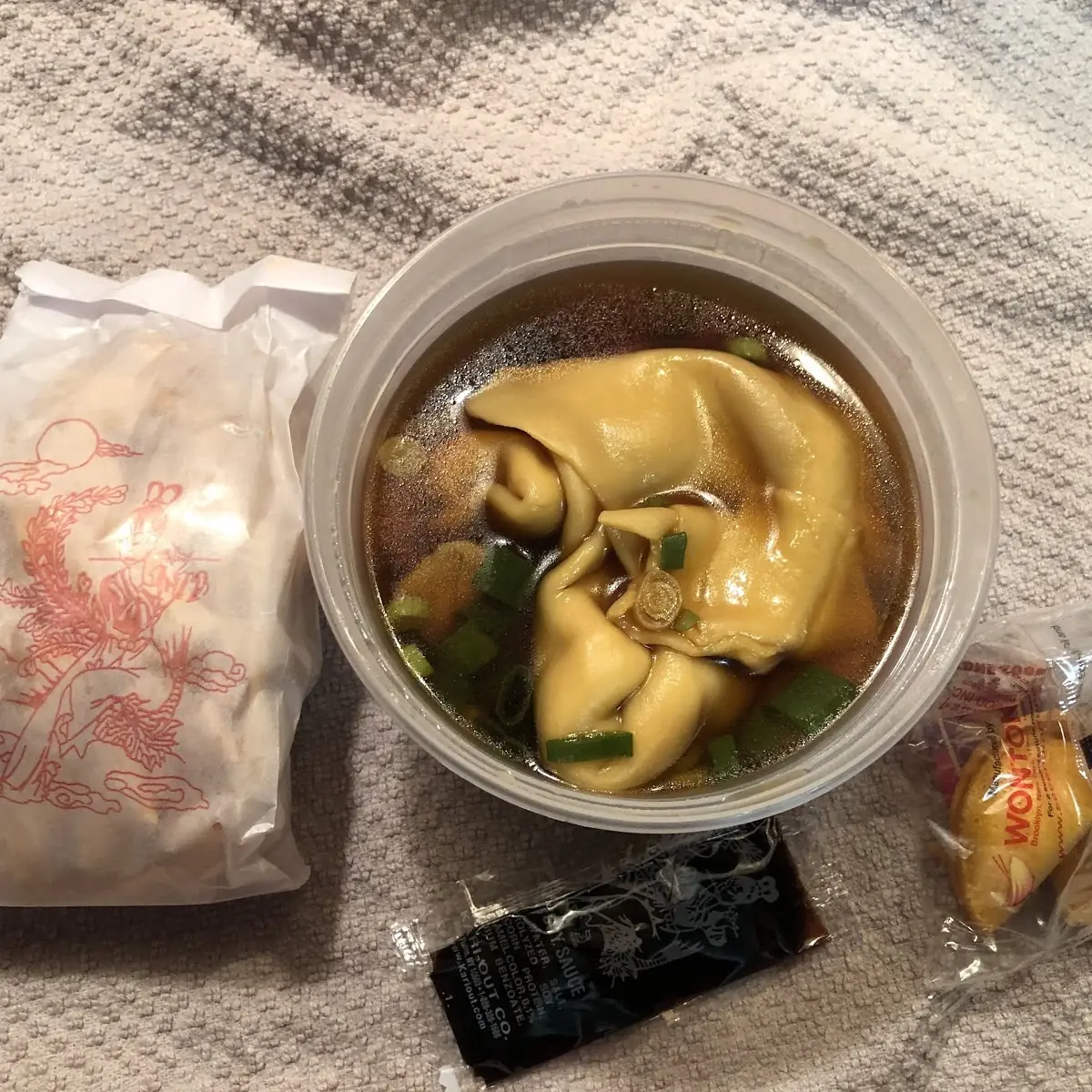 Wonton Soup