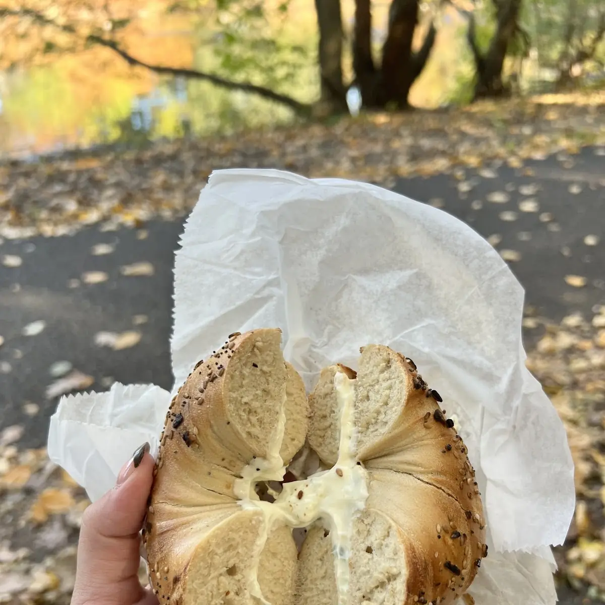 Everything Bagel with Cream Cheese