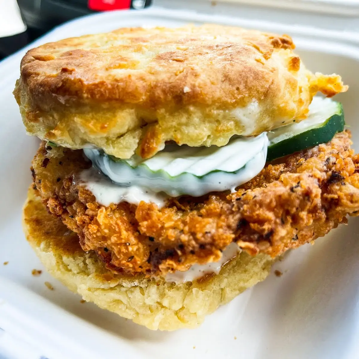 Fried Chicken Sandwich with Biscuit Bun