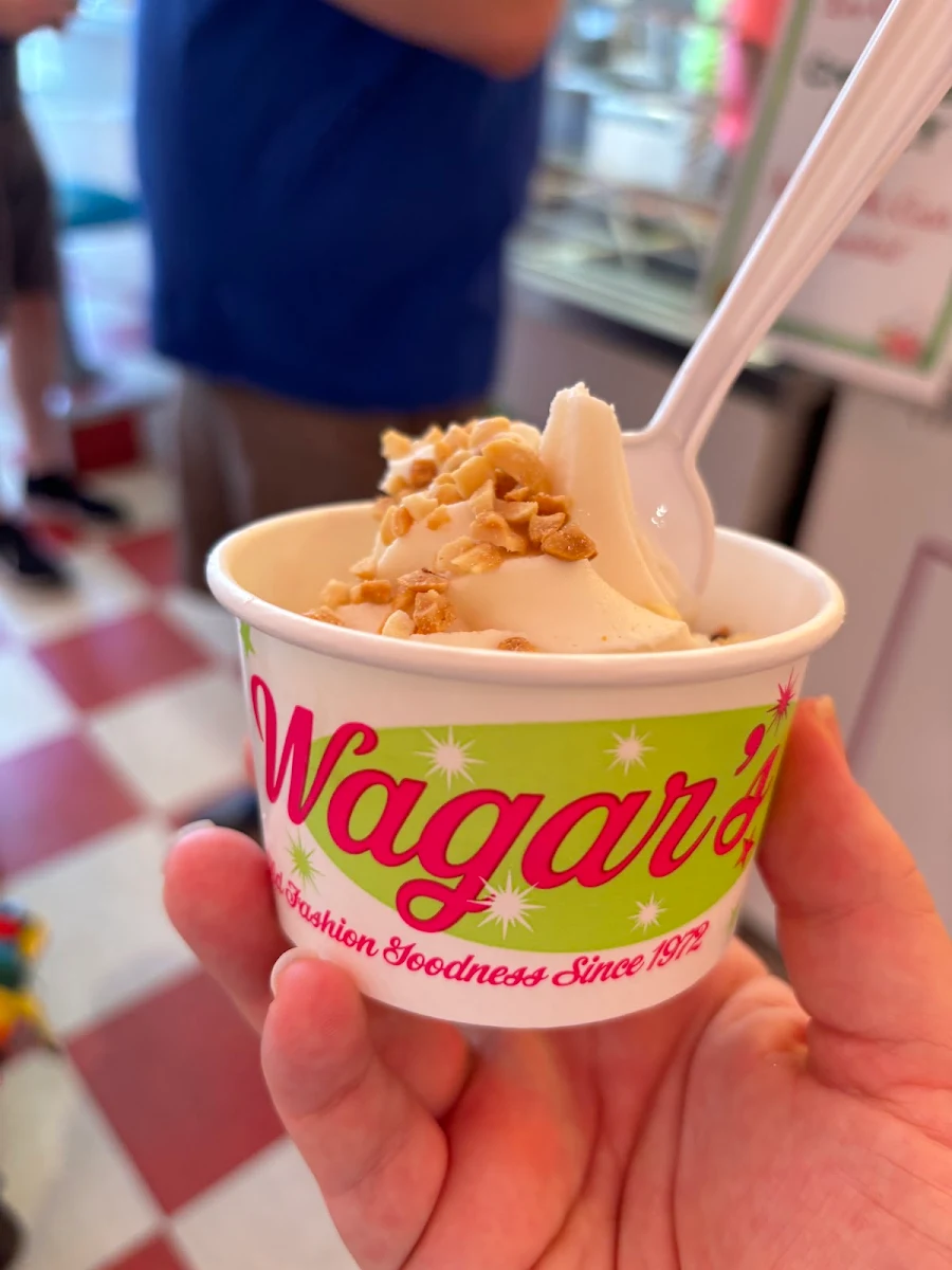 Frozen Yogurt