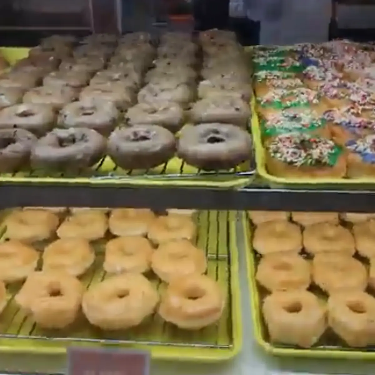 Doughnut