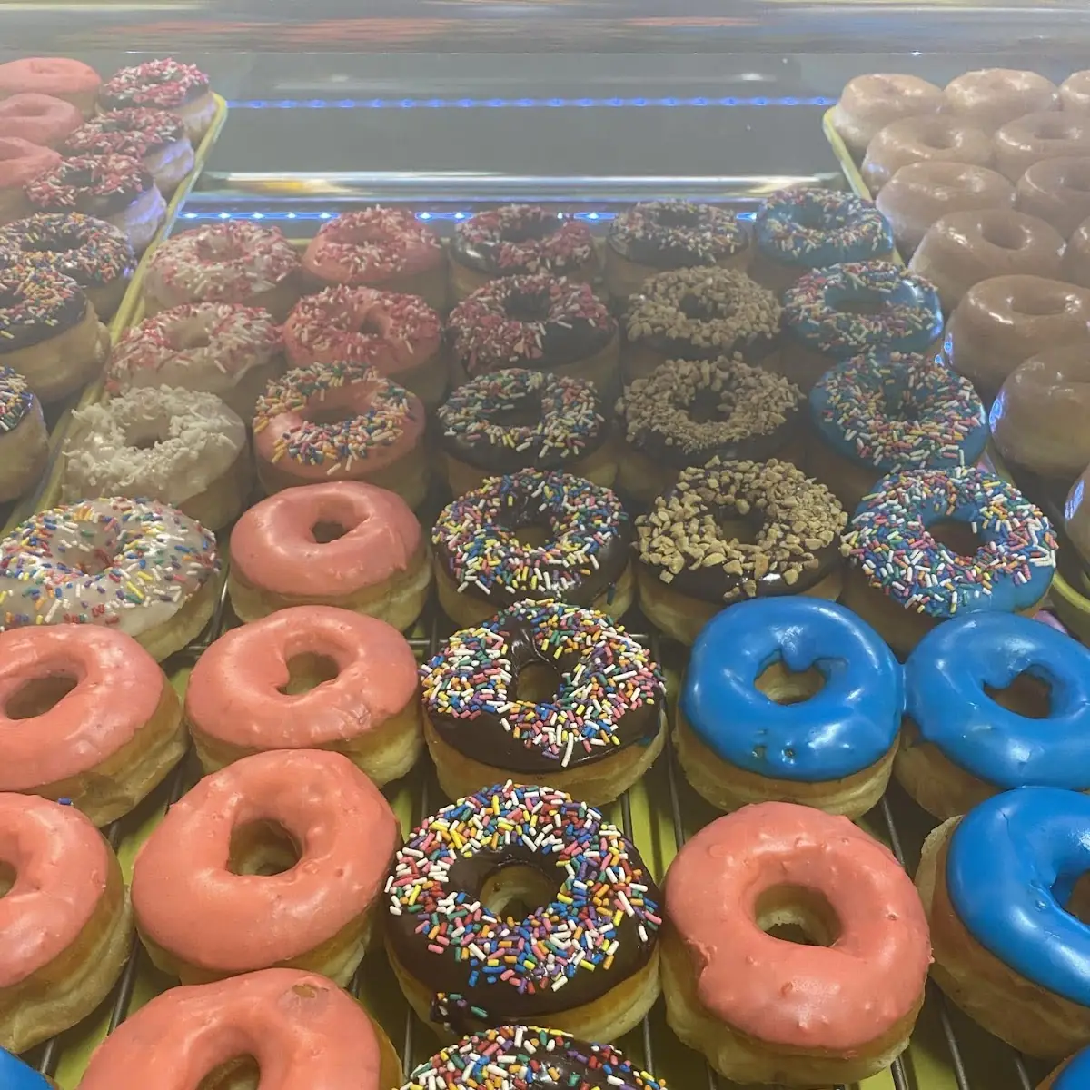 Doughnut