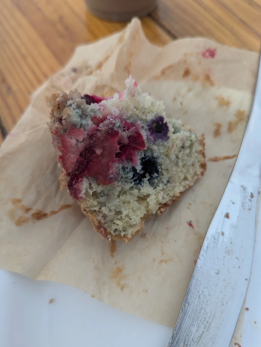 Blueberry Muffin